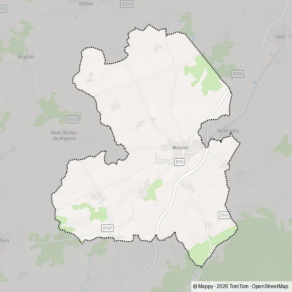 Map Mauron: map of Mauron (56430) and practical information