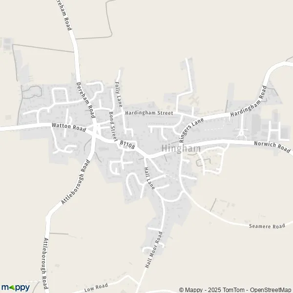 Map Hingham map of Hingham (NR9 4) and practical information