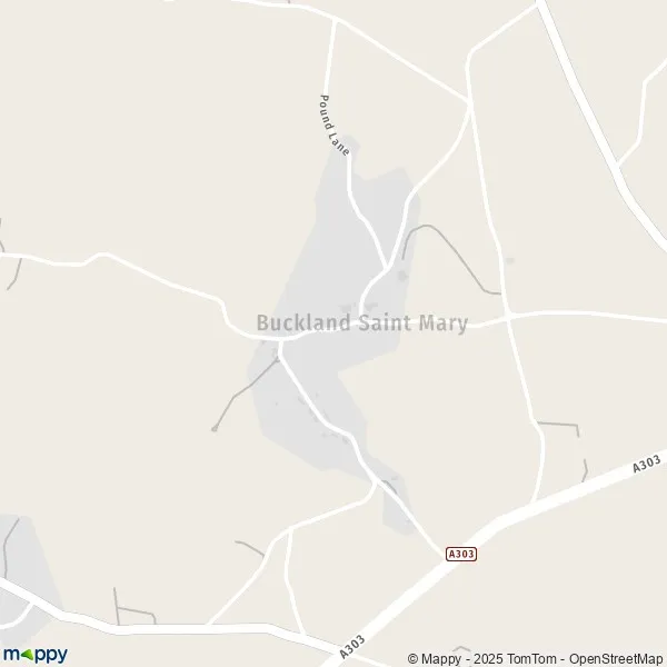 Map Buckland Saint Mary map of Buckland Saint Mary (TA20 3) and